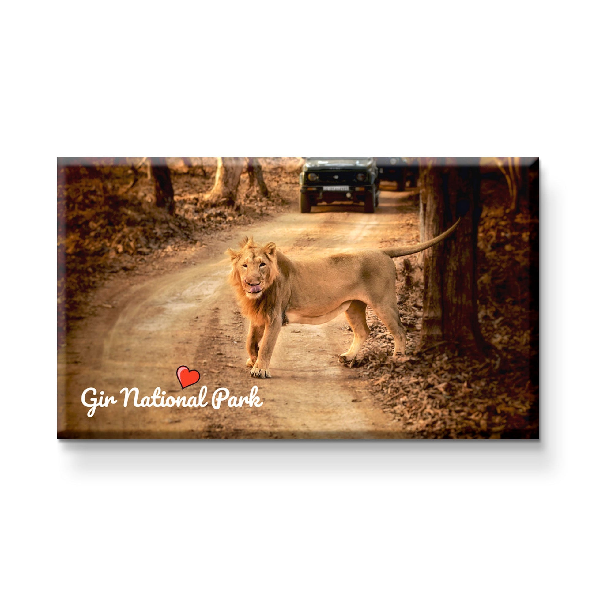 Stickerji Gir National Park Wooden Fridge Magnet - Souvenir travel keepsake gift - View 2