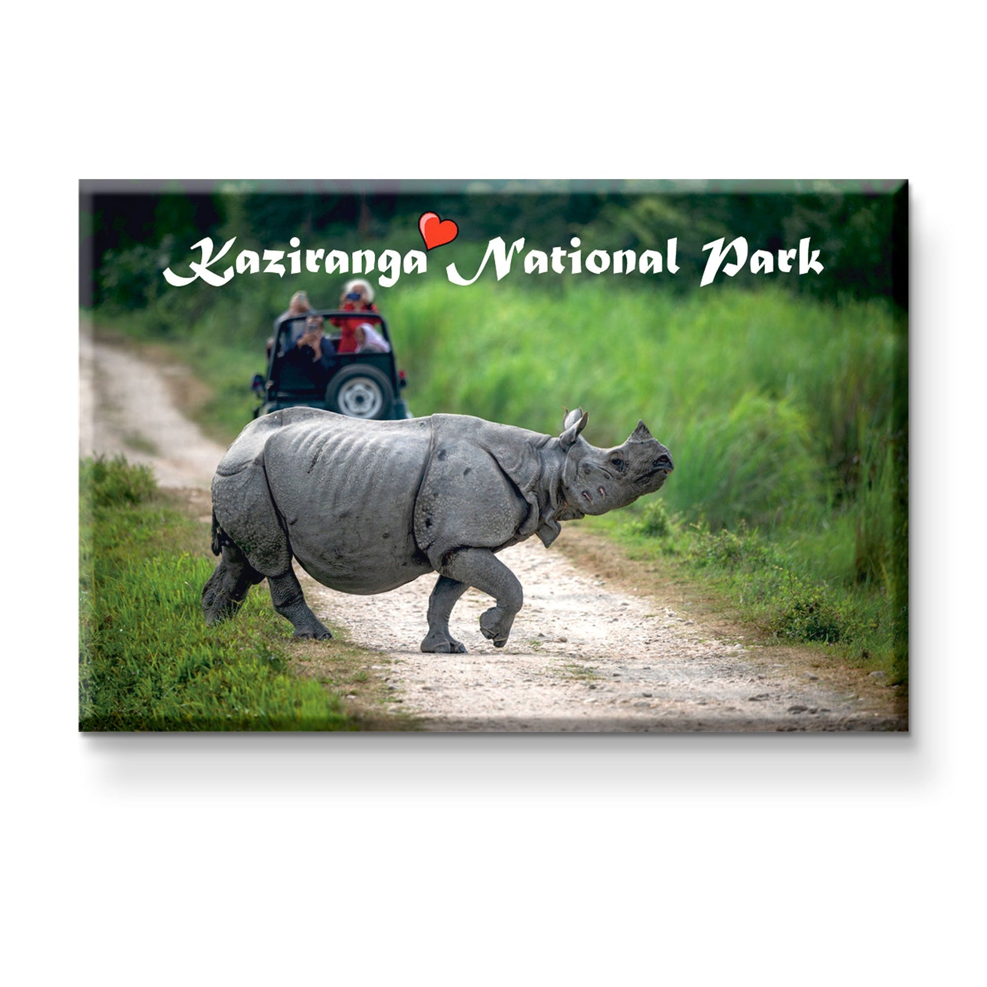 Kaziranga National Park souvenir magnet front design – one-horned rhinoceros and safari jeep print, Assam travel gift